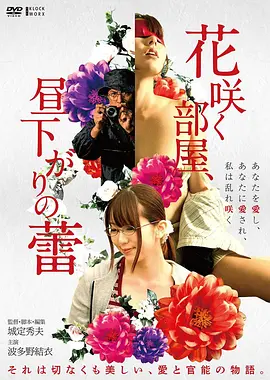 回声档案